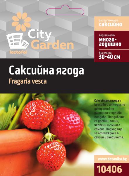 City garden семена саксийна ягода