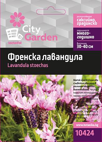 City garden семена френска лавандула