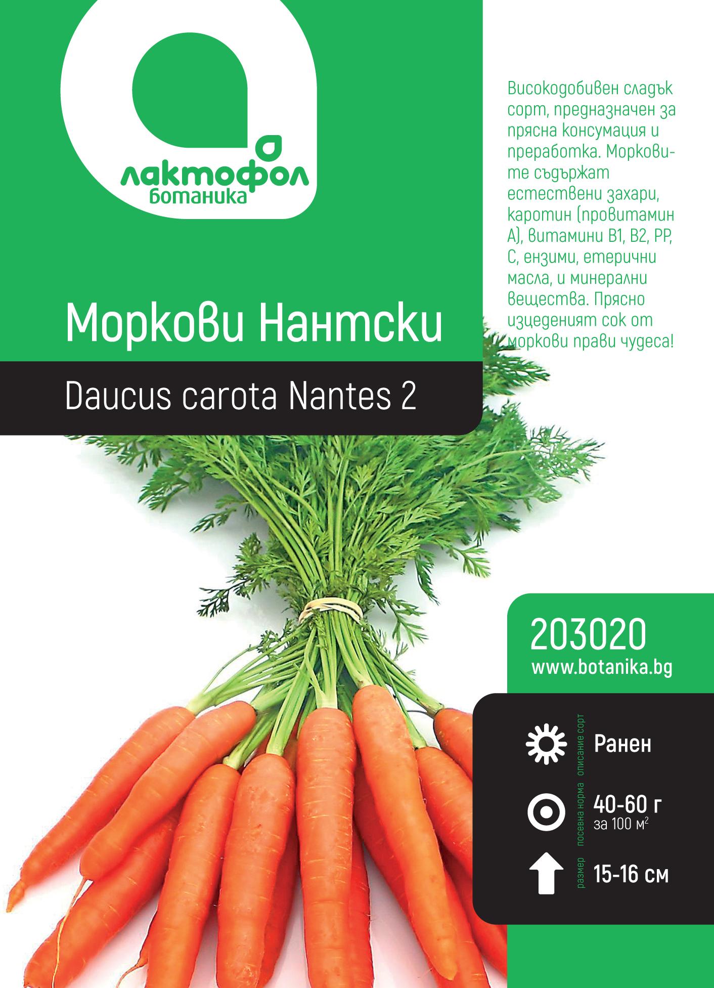 Моркови Нантски
