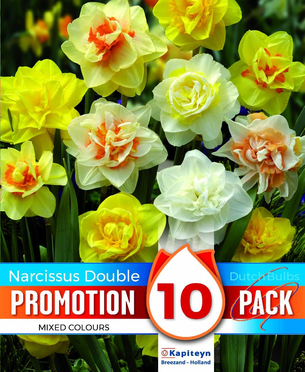 Промоционален пакет Нарциси DOUBLE MIXED COLOURS 12/14 10бр.