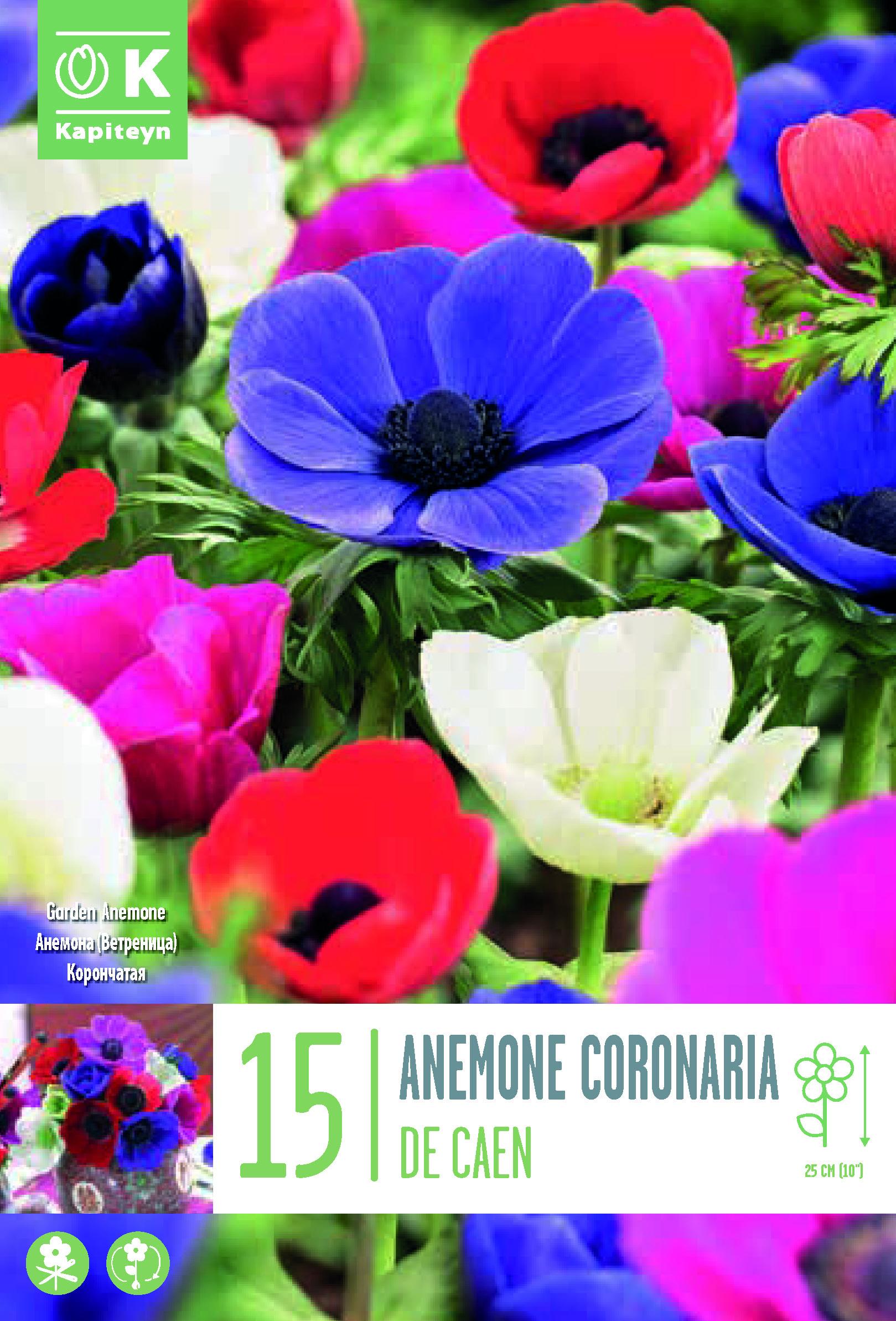 Анемоне CORONARIA DE CAEN микс 15бр.