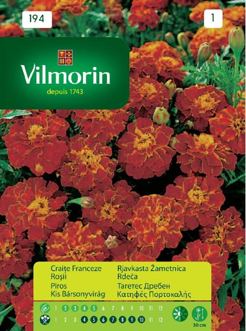 Тагетес Дребен Червен