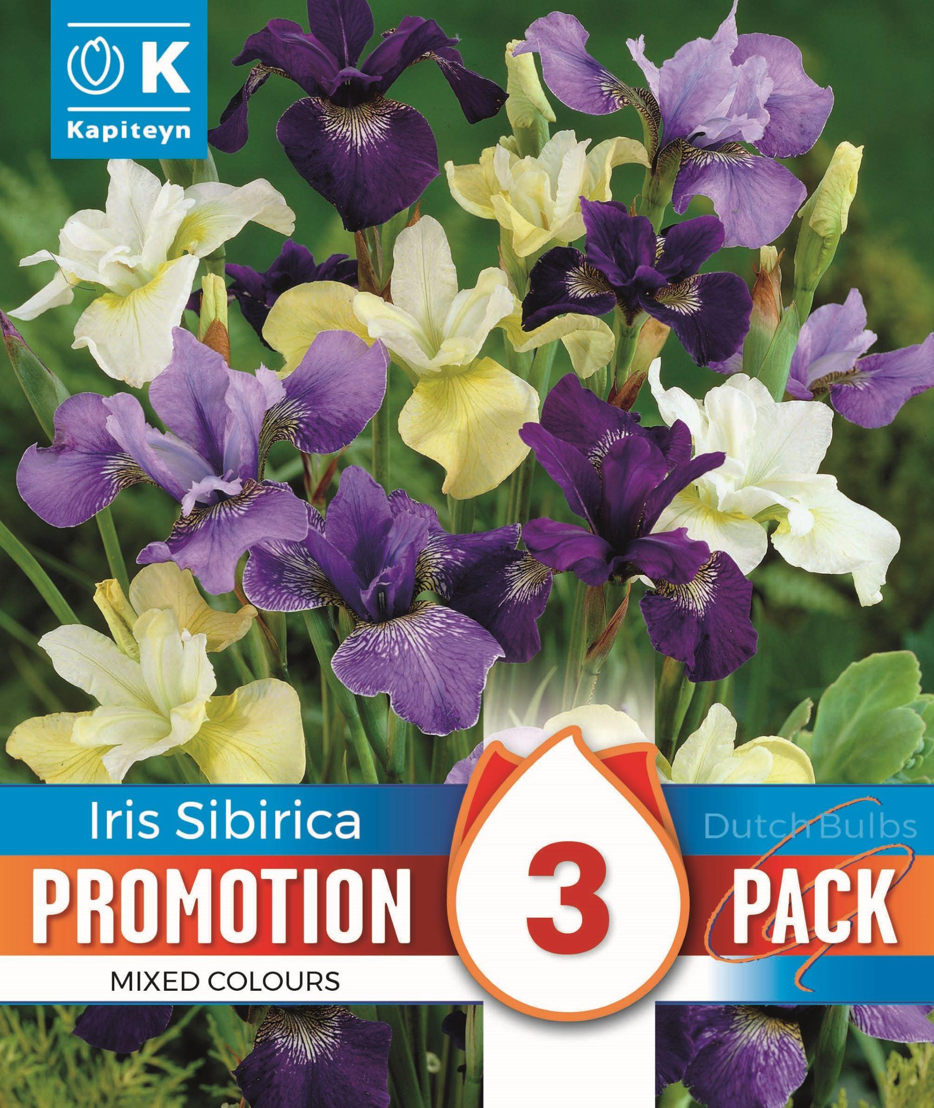 Промо Ирис SIBIRICA микс 3 бр.