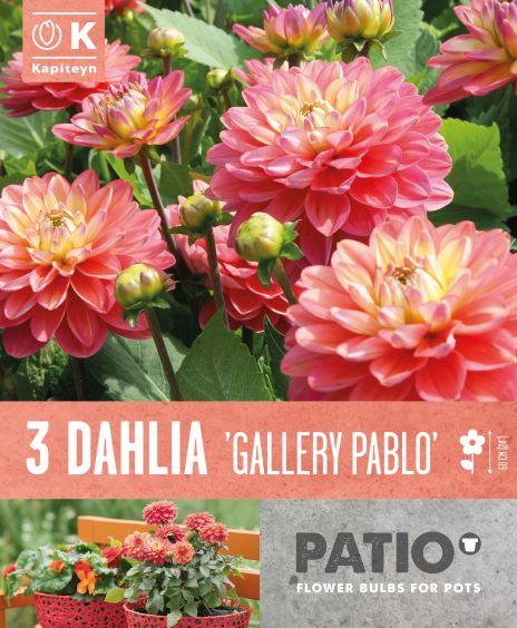 Балконски - Далия Gallery Pablo 3 бр.