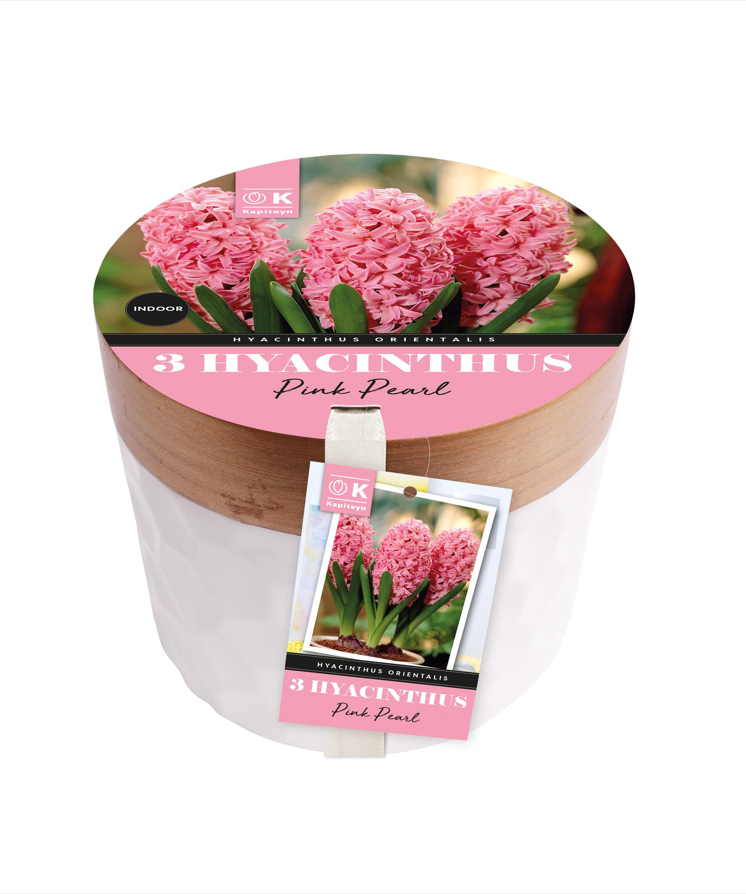 Керамична саксия ЗЮМБЮЛ PINK PEARL 16/17 3бр ф13
