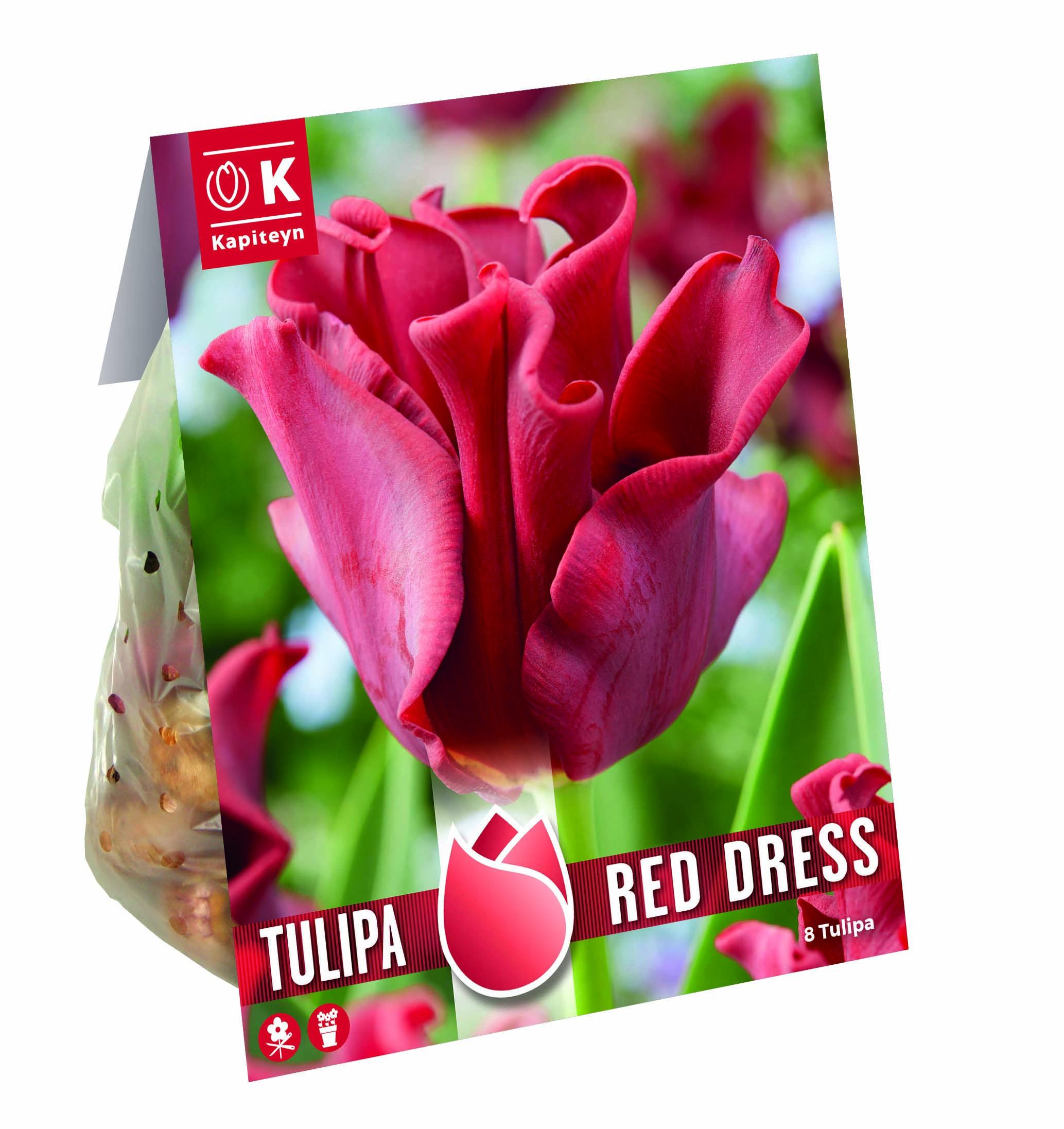 Лале CORONET RED DRESS 12/+ 8бр.