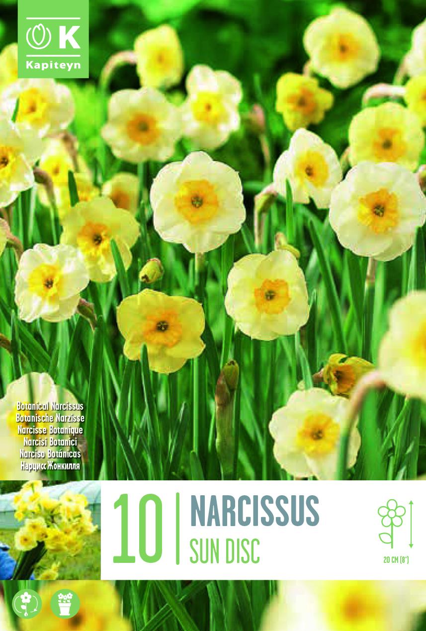 Нарцис BOTANICAL SUNDISC 10/12 10 бр.