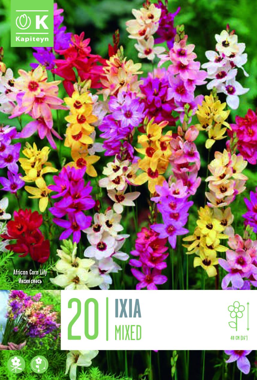 Ixia MIXED COLOURS 20 бр.