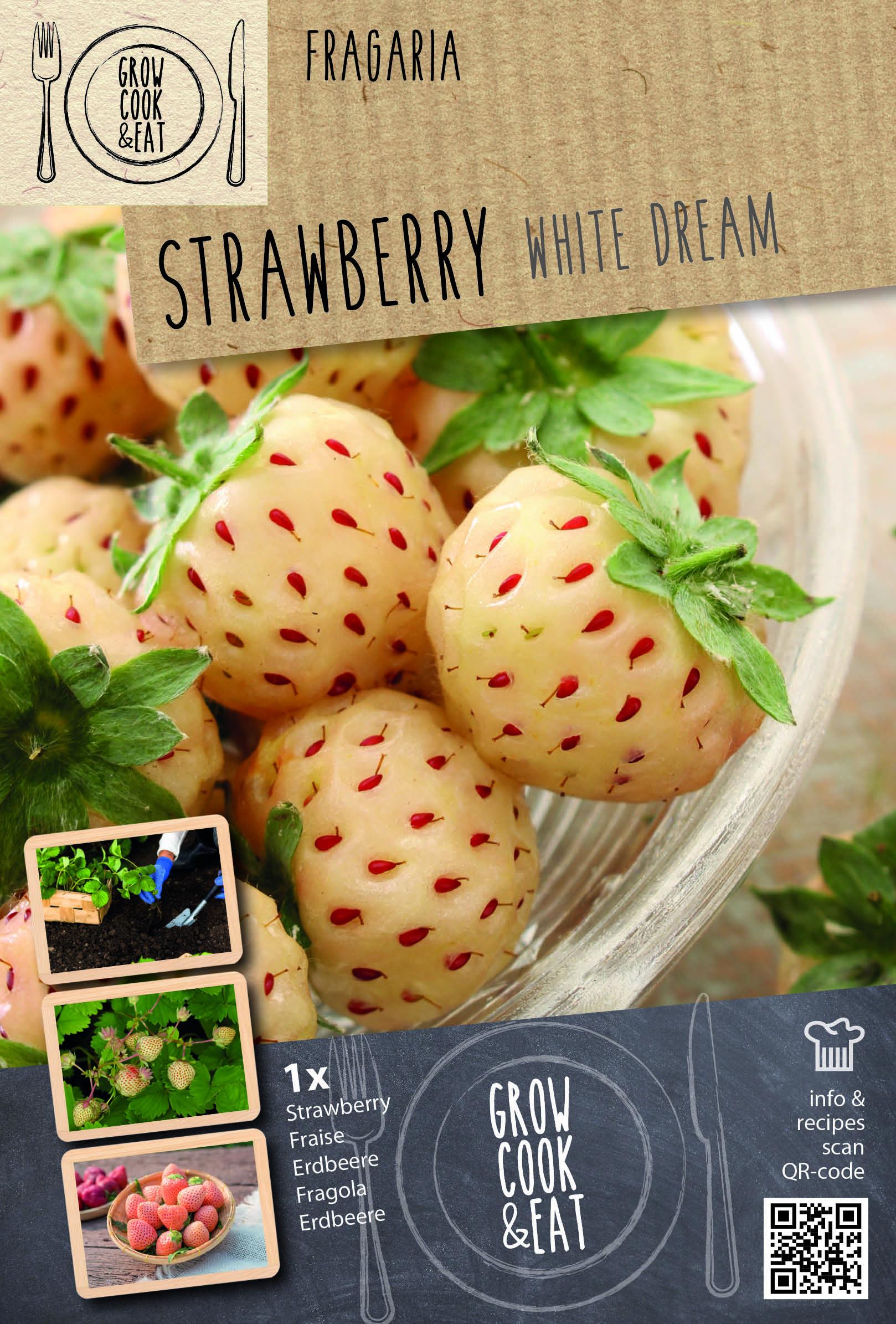 Ягода корен White dream 1 бр.
