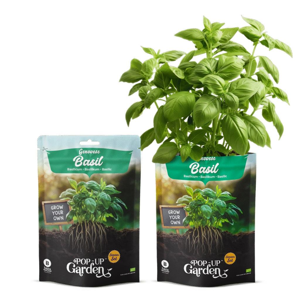 Мини градина Pop-UP Garden - босилек