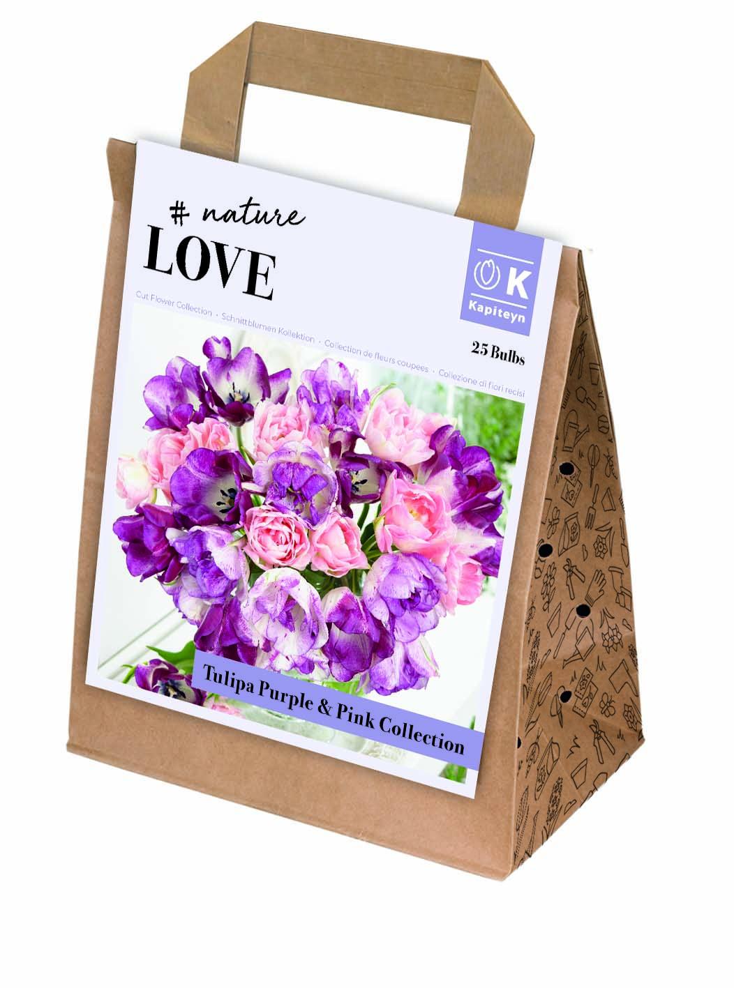 Пакет луковици ЛАЛЕ ЛАЛЕ PURPLE and PINK 12/+ 25 бр.