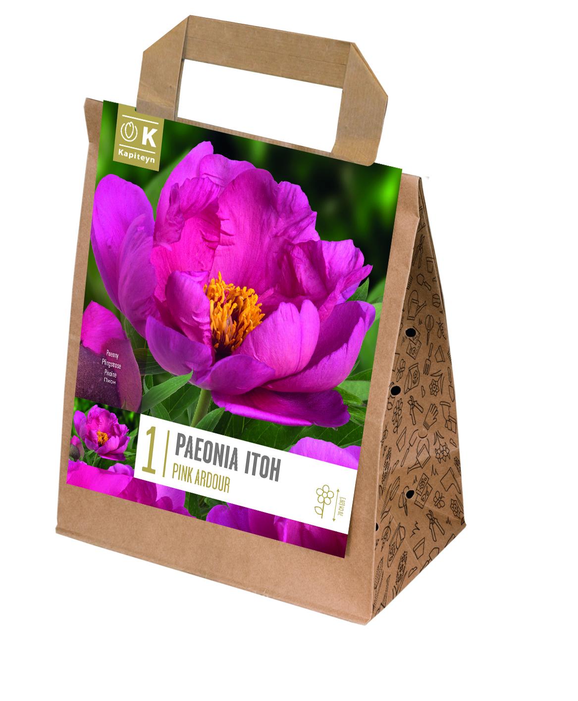 Специална селекция дървовиден божур PINK ARDOUR 1 бр.