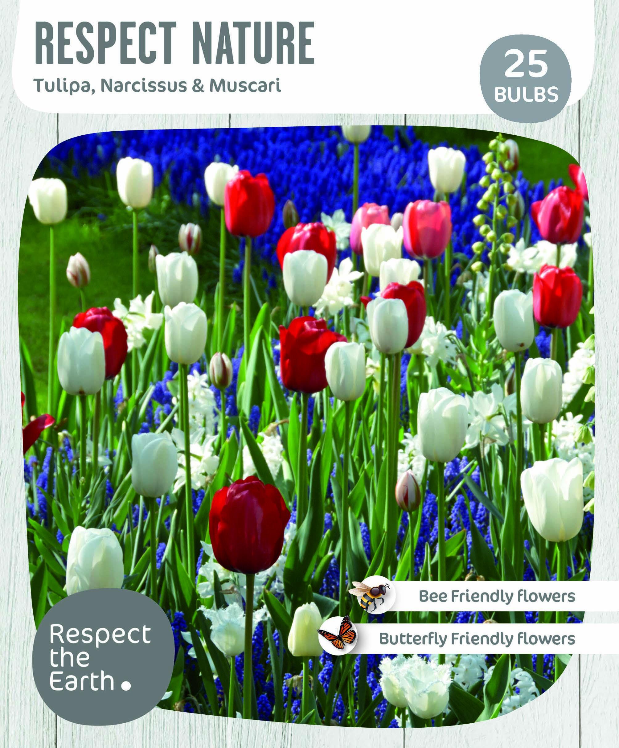 Комбинация Respect nature - Amor 25 бр
