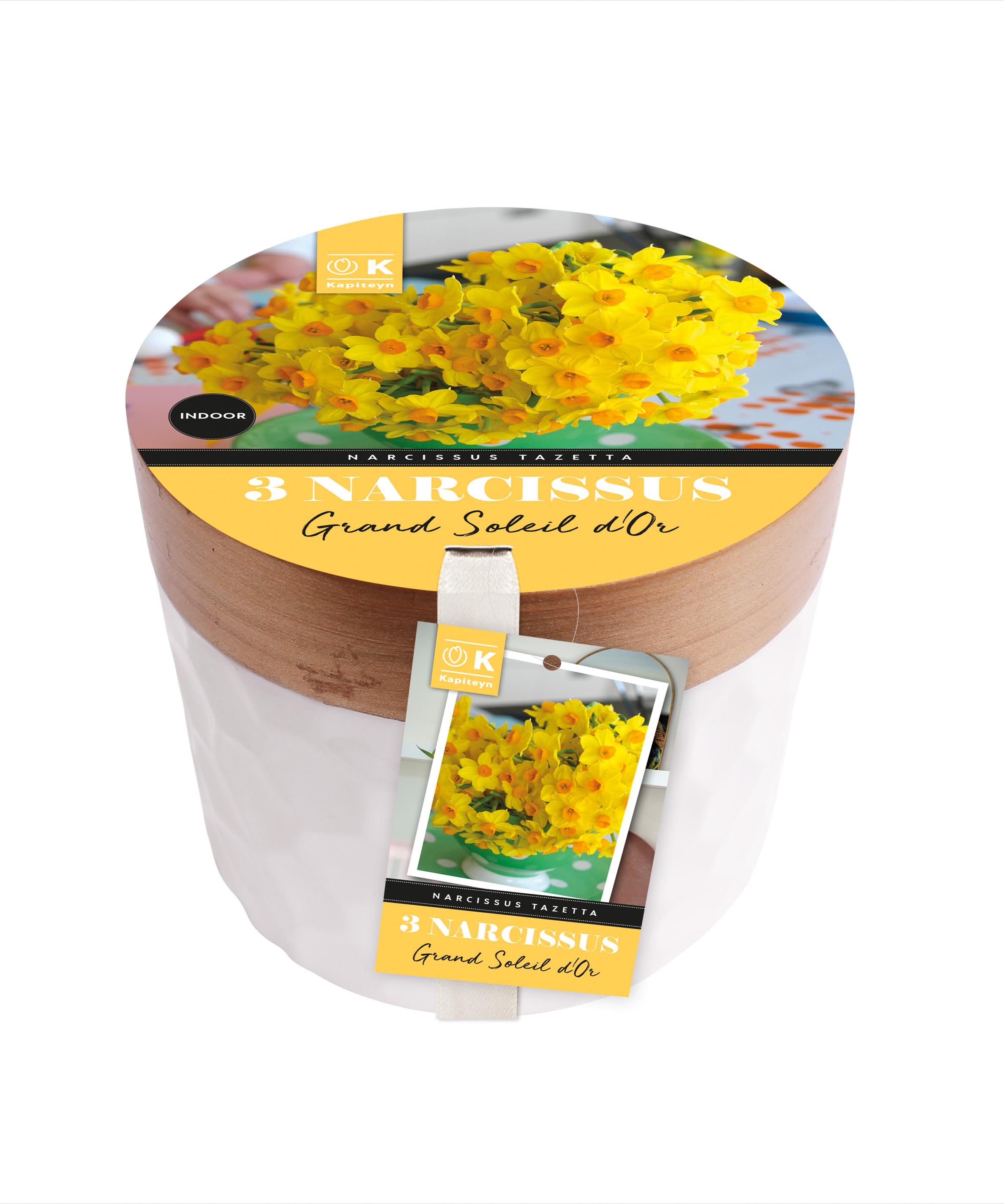 Керамична саксия НАРЦИС GRAND SOLEIL D`OR 15/16 3бр ф13