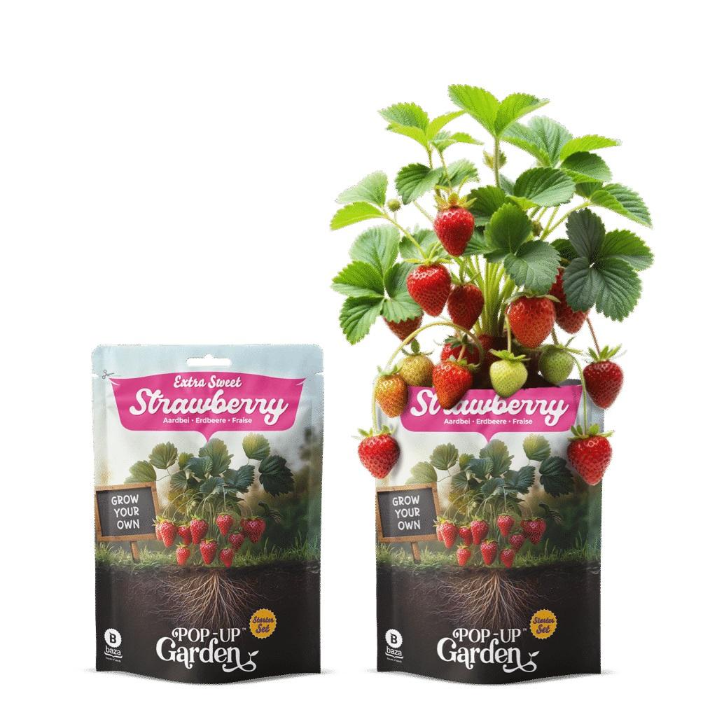 Мини градина Pop-UP Garden - сладки ягоди