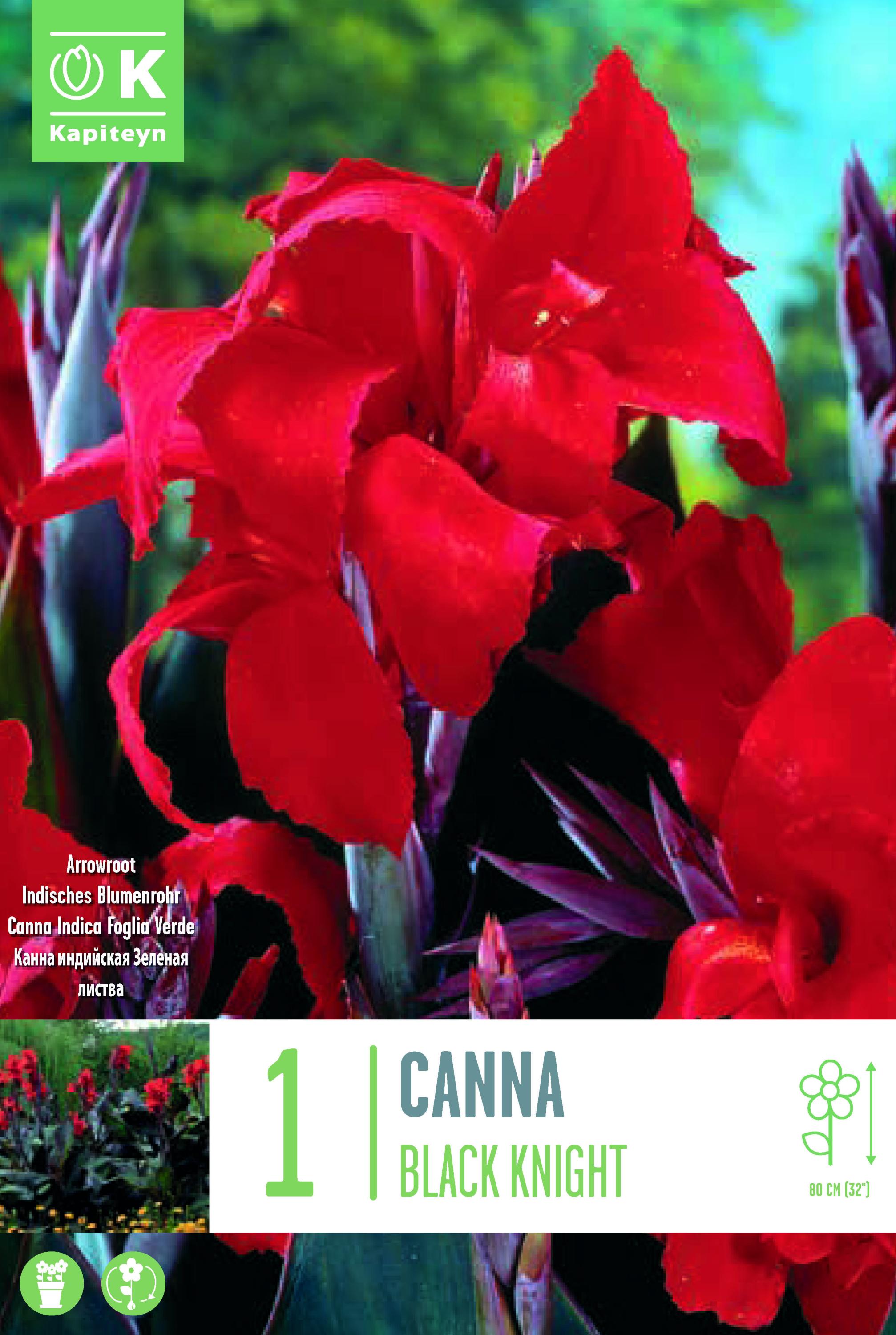 Канна Black Knight 1 бр.