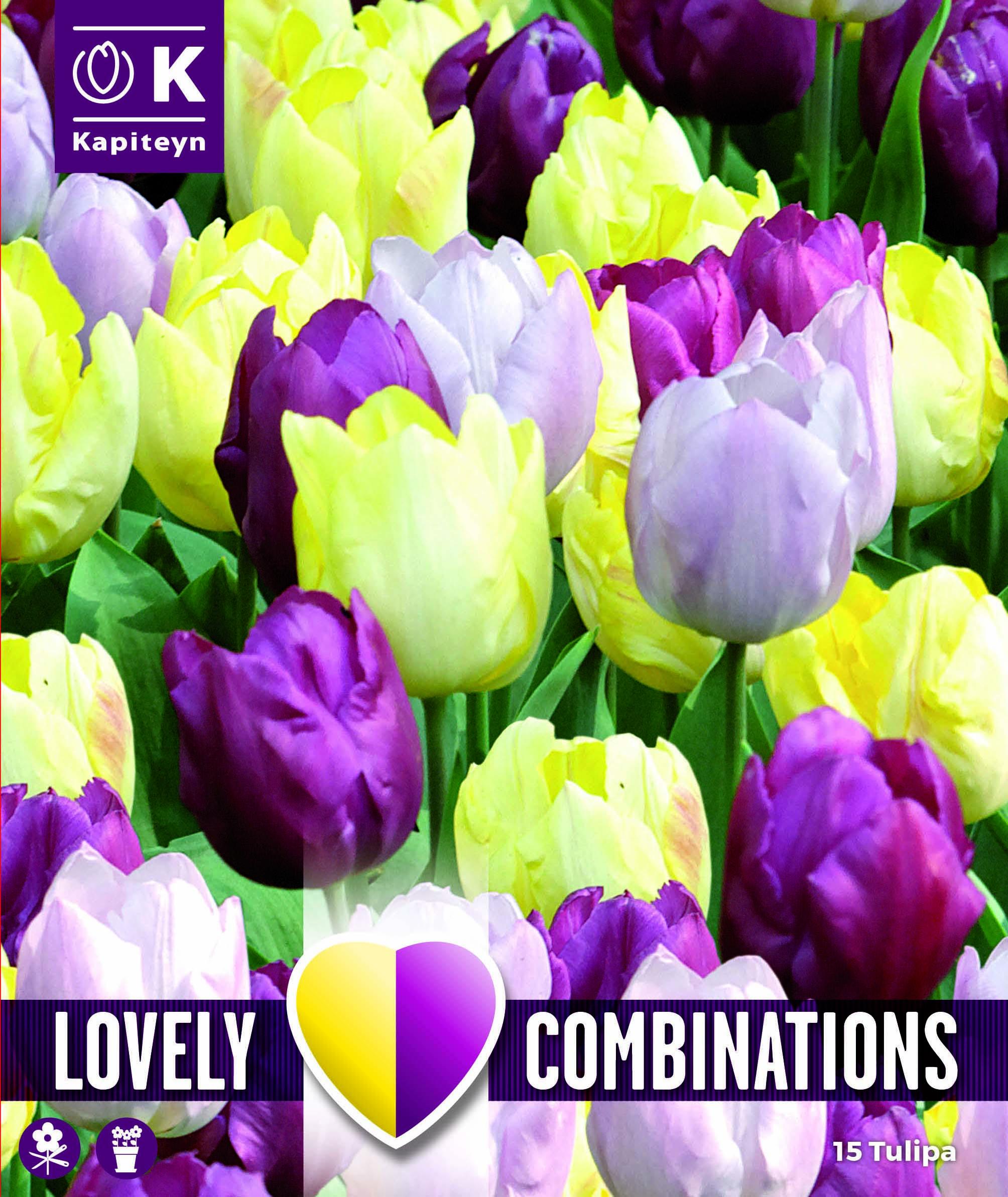 Комбинация лалета YELLOW, PURPLE & LILAC 15 бр.