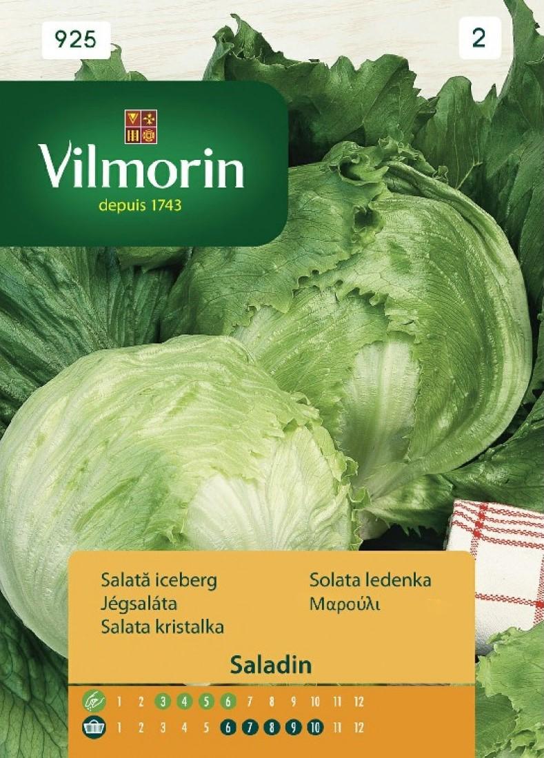 Салата Айсберг Saladin