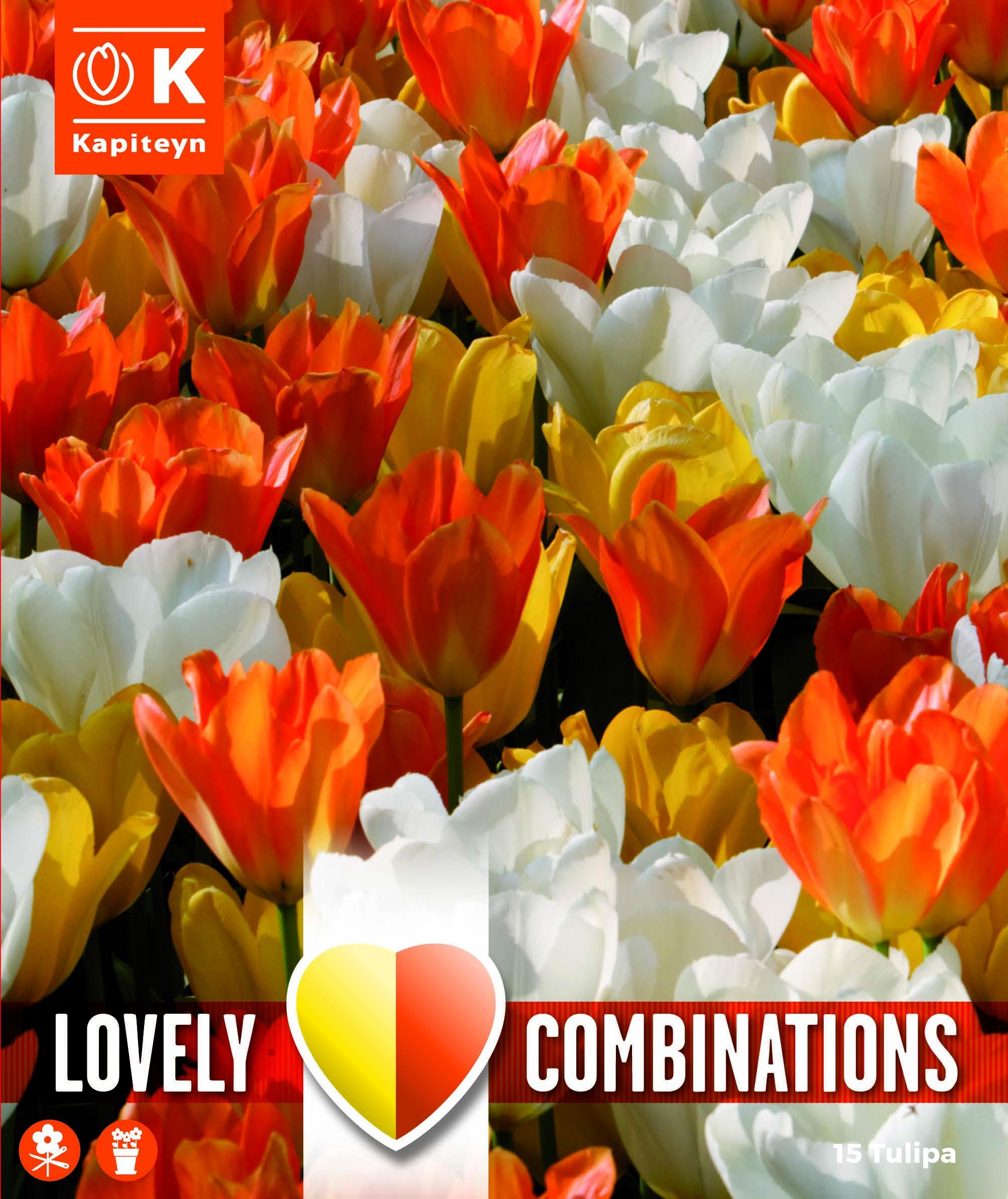 Комбинация ЛАЛЕТА White,Yellow and Orange 11/12 15бр