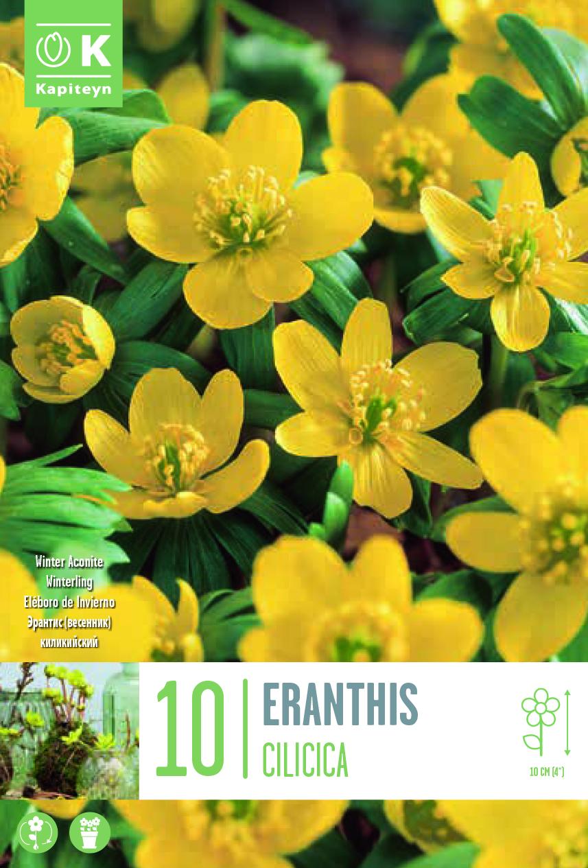 Ерантис CILICICA 4/+ 10 бр.