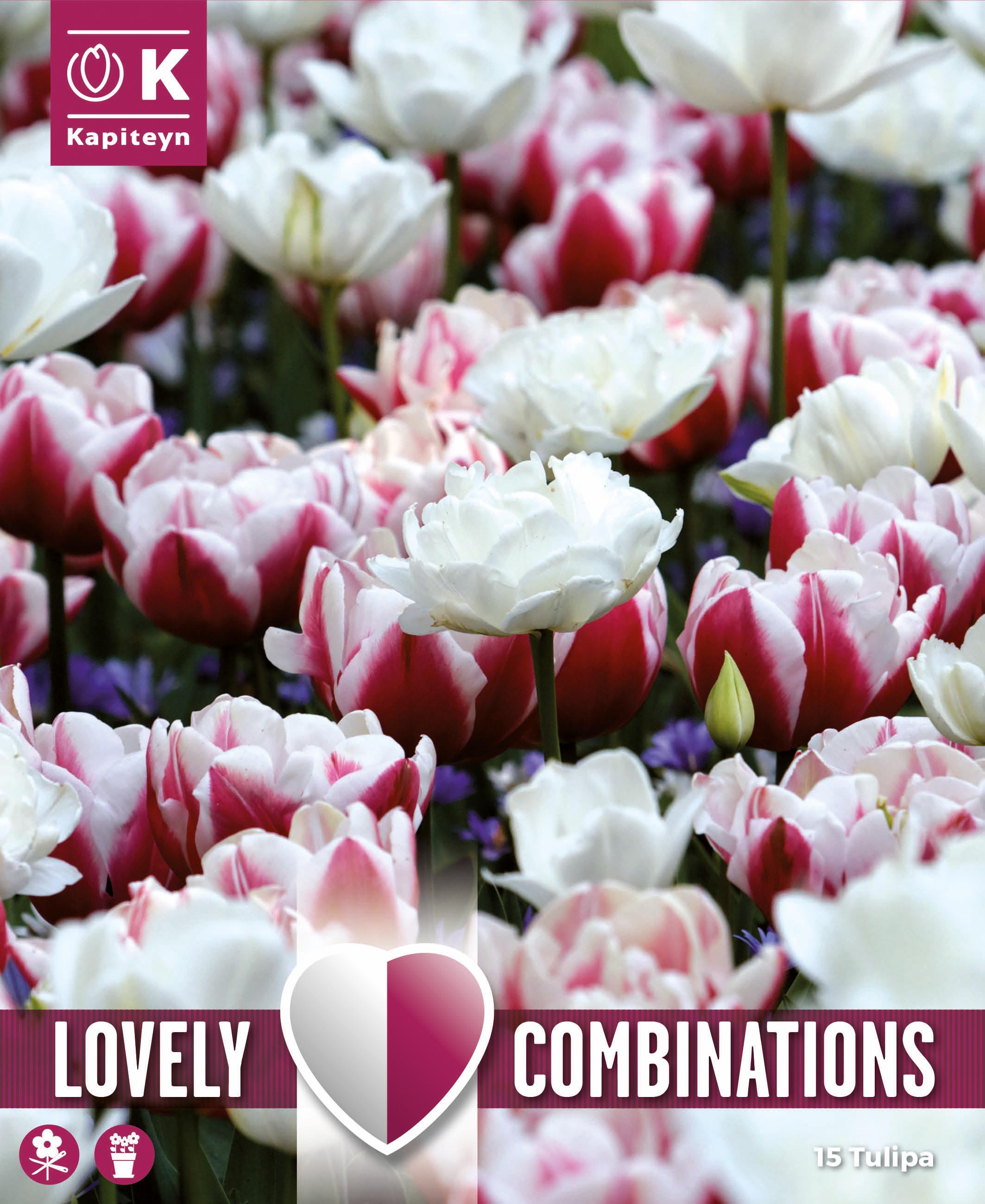 Комбинация ЛАЛЕТА DOUBLE RED & WHITE 15 бр.