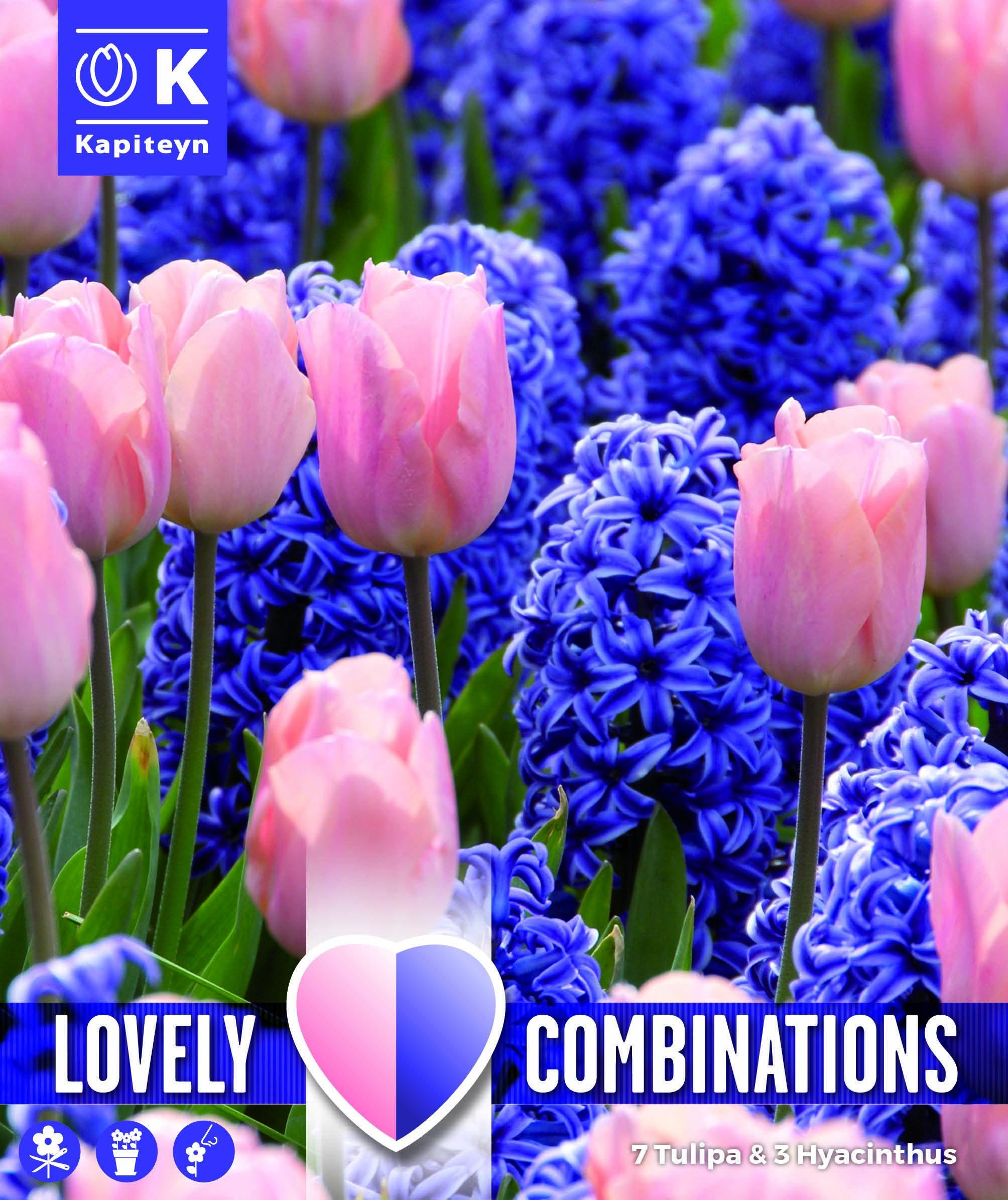 Комбинация ЛАЛЕТА И ЗЮМБЮЛИ BLUE AND PINK 12+/ 10 бр.