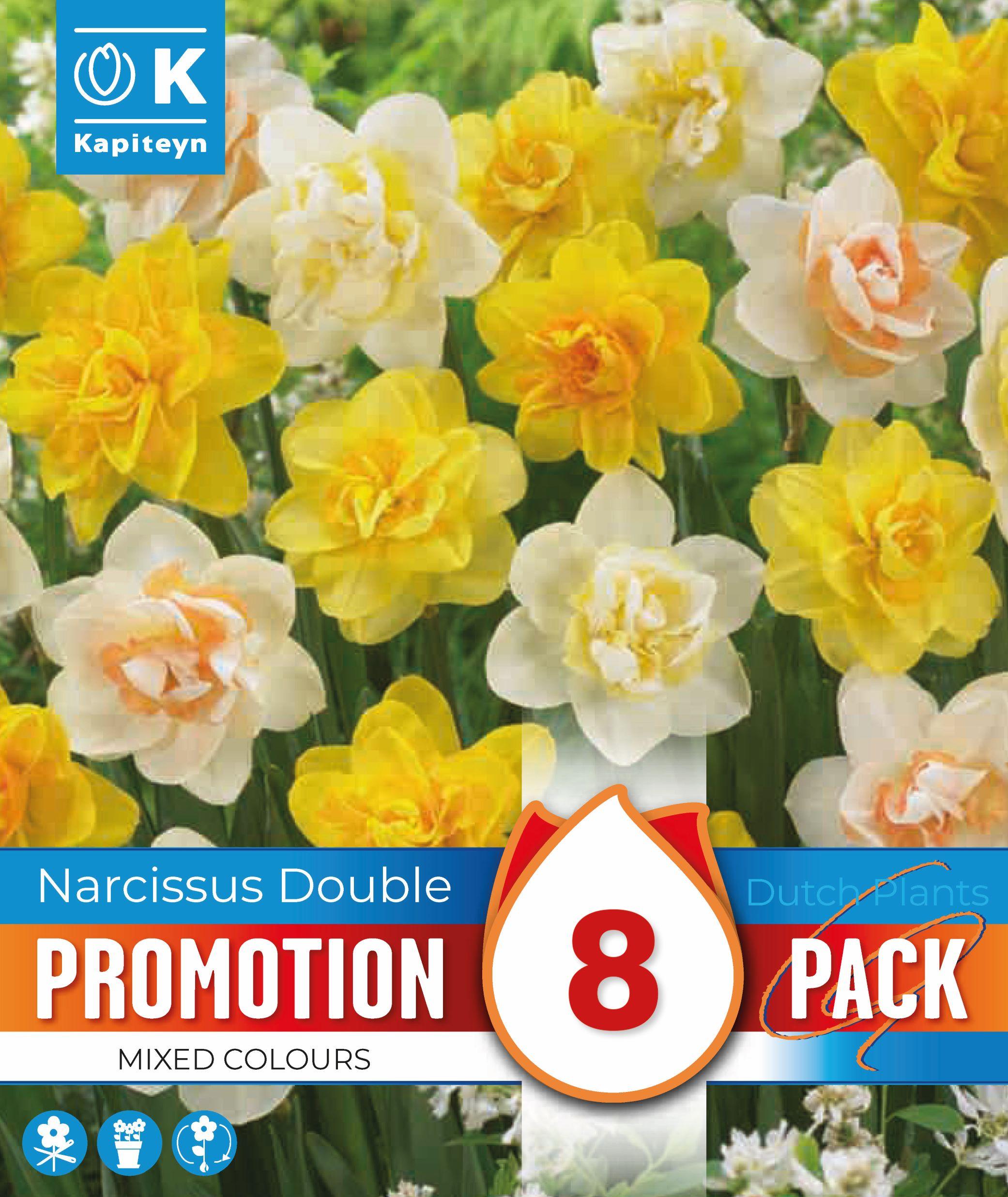 Промоционален пакет Нарциси DOUBLE MIXED COLOURS 12/14 8 бр.
