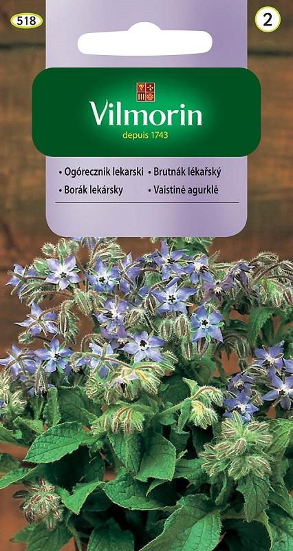 Пореч Borago officinalis