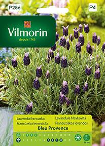 Френска лавандула