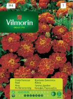 Тагетес Дребен Червен