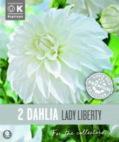 Далия декоративна LADY LIBERTY 2 бр.