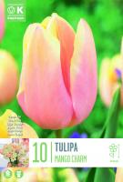 Лале TRIUMPH MANGO CHARM 11/12 10 бр.