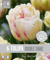 Лале DOUBLE LATE DOUBLE SHAKE- 6 бр.