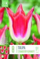 Лале LILY FLOWERED STRAWBERRY ROMANOFF 12/+ 8бр.