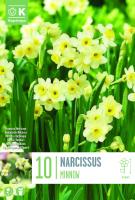 Нарцис BOTANICAL MINNOW 10/12 10 бр.