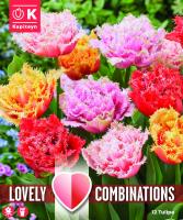 Комбинация ЛАЛЕТА double Crispa mix Red Shades 11/12 12 бр