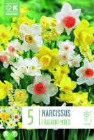 Нарцис FRAGRANT MIXED COLOURS 14/16 5 бр.