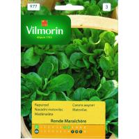 Салата Ronde Maraichere