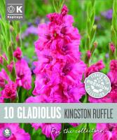 Гладиоли Flamencos Kingston Ruffle 10 бр.