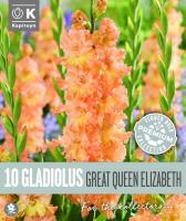 Гладиоли Flamenco Great Queen Elizabeth 10 бр. 12/14
