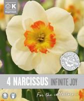 Нарцис LARGE CUPPED INFINITE JOY - 4 бр.