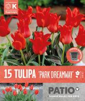 Балконски - Лале FOSTERIANA PARK DREAMWAY - 15 бр.