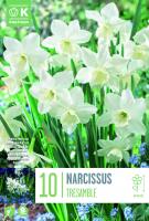 Нарцис BOTANICAL TRESAMBLE 10/12 10 бр.