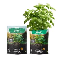 Мини градина Pop-UP Garden - босилек