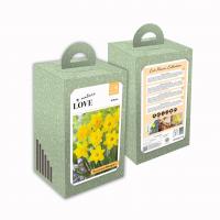 Подаръчен пакет Нарциси LARGE FLOWERING YELLOW 40бр