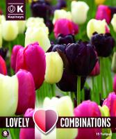 Комбинация ЛАЛЕТА LATE BLACK, PINK & WHITE 12+, 15 бр.