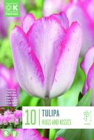 Лале TRIUMPH HUGS AND KISSES 11/12 10 бр.