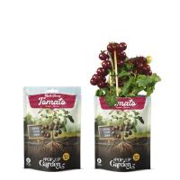 Мини градина Pop-UP Garden - сладки чери домати - тъмни