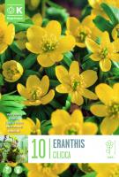 Ерантис CILICICA 4/+ 10 бр.