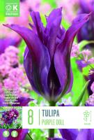 Лале VIRIDIFLORA PURPLE DOLL 12/+ 8 бр.